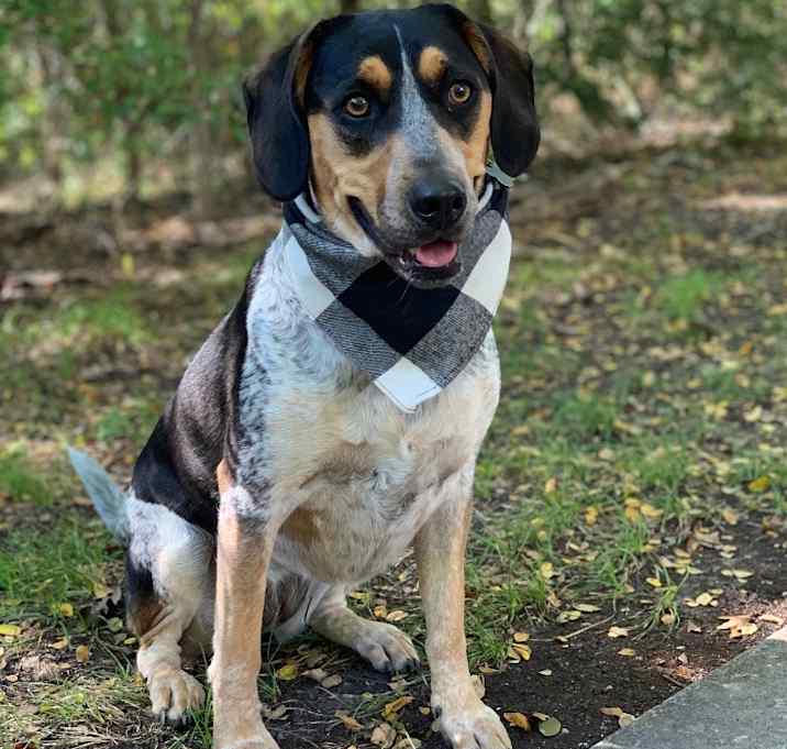 Photo of Lulu