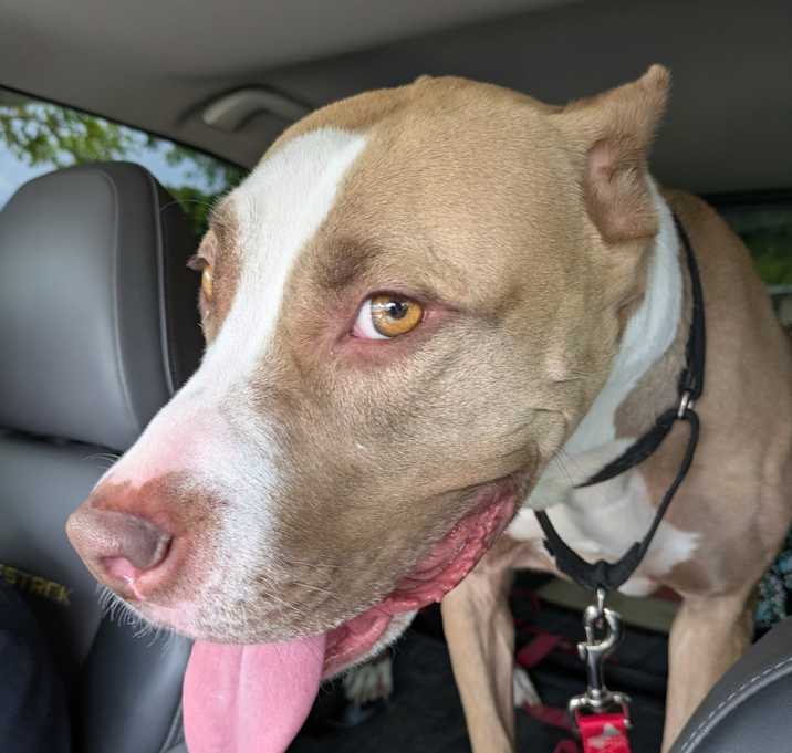 Photo of Delilah