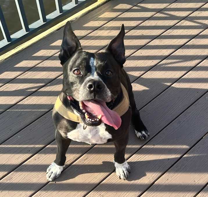 Photo of Murphy