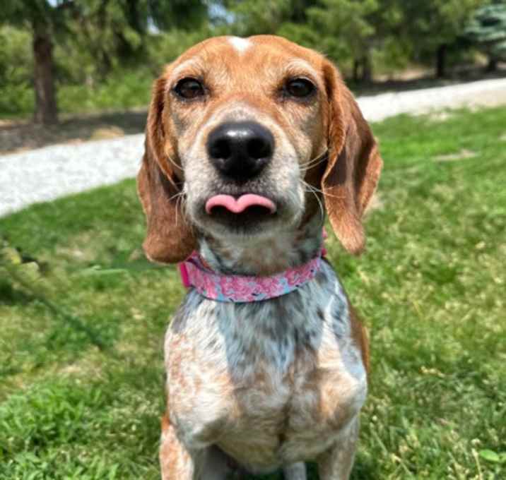 Photo of Daisy