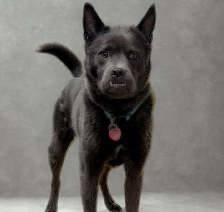 Photo of Phoenix
