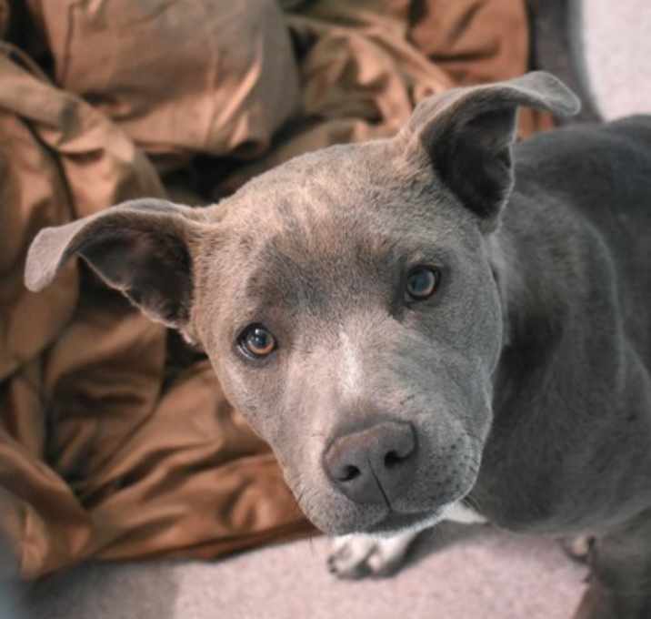 Photo of Dolly