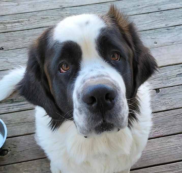 Photo of Remington