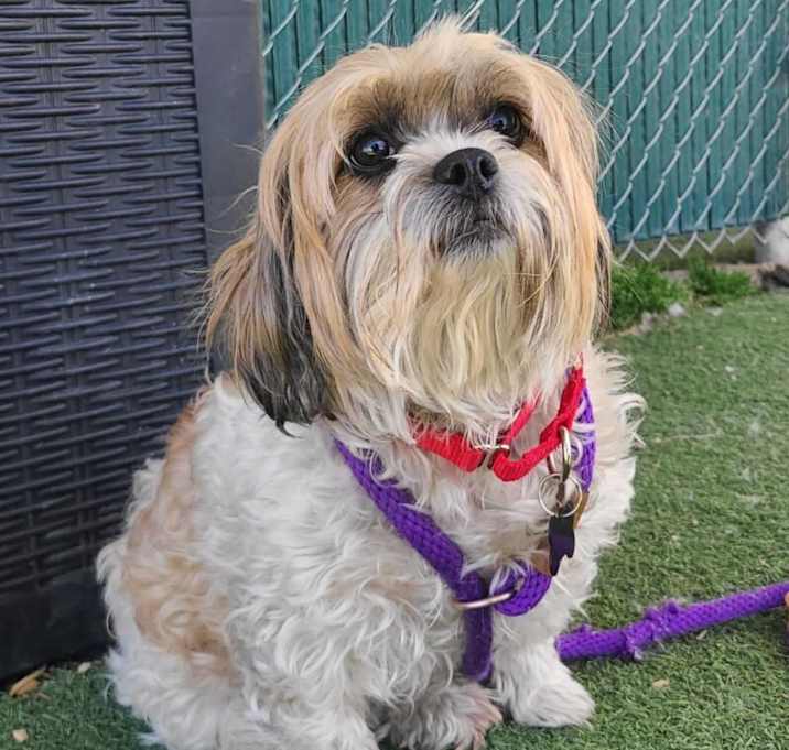 Photo of Delilah
