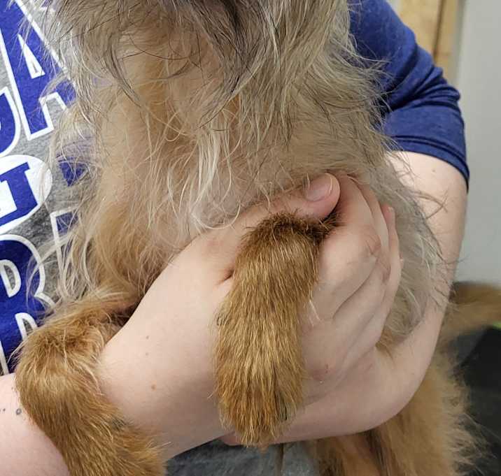 Photo of Whispey