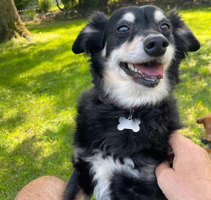Photo of Jake