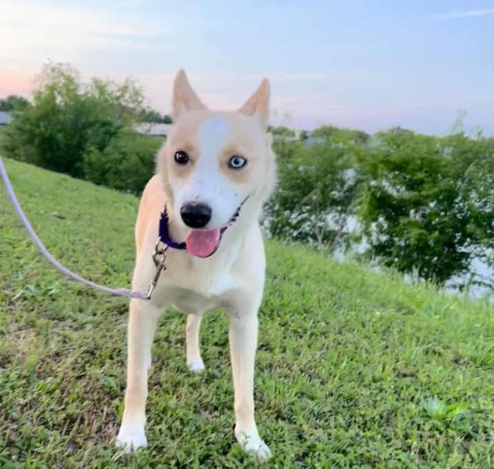 Photo of Hilda