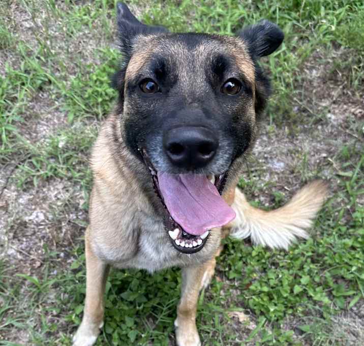 Photo of Niko