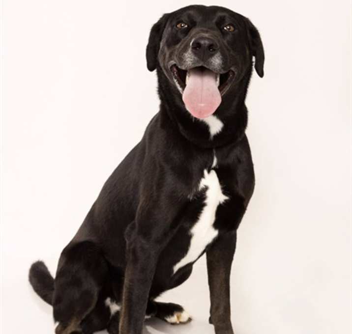 Photo of MOSBY