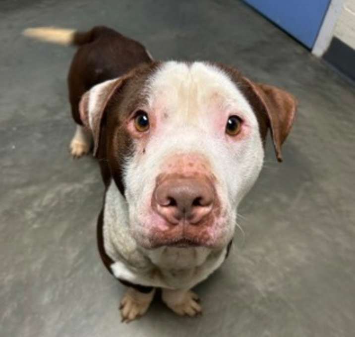 Photo of Hooza Goodboi