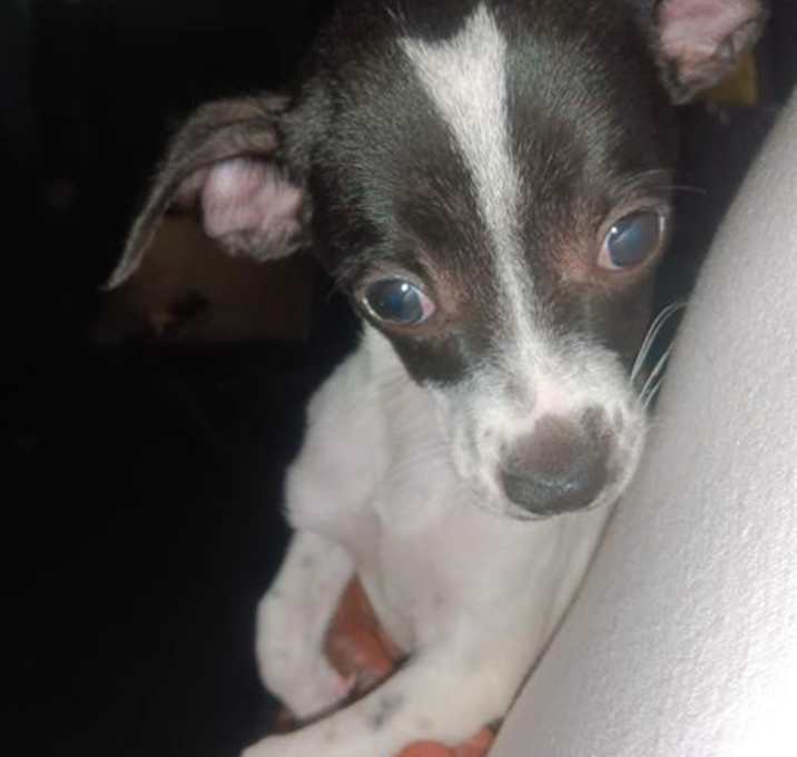 Photo of JAJA