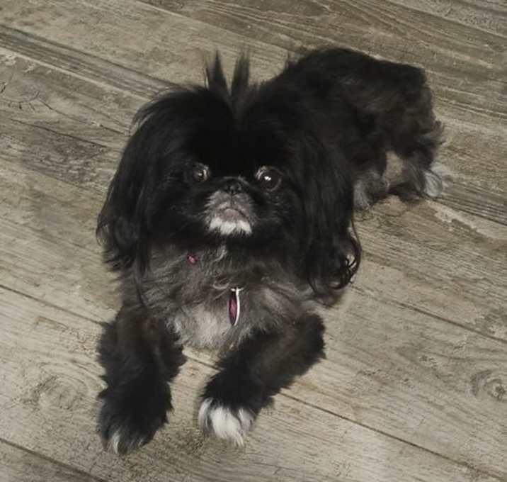 Photo of Skye