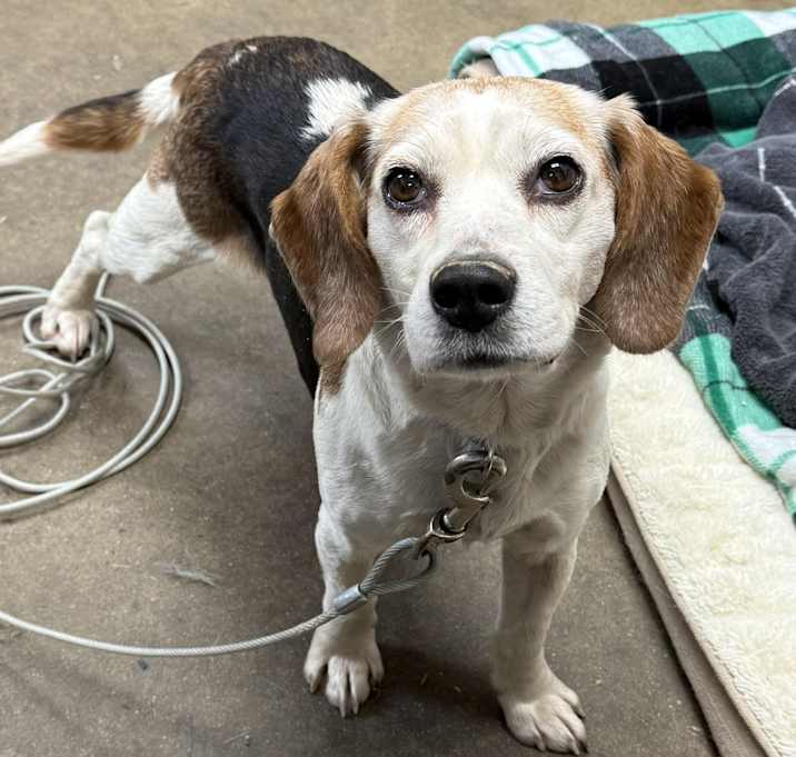 Photo of MAGGIE