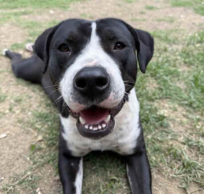 Photo of Remi