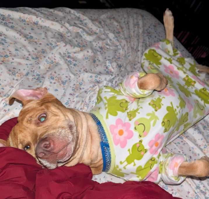 Photo of Rockie