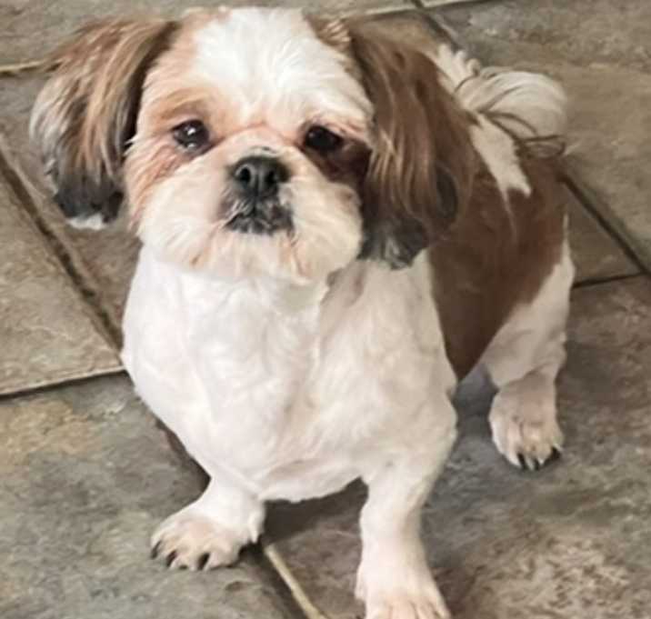 Photo of Lilah
