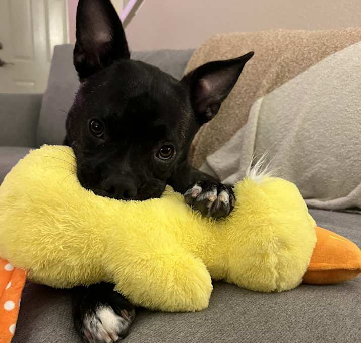 Photo of Fiona