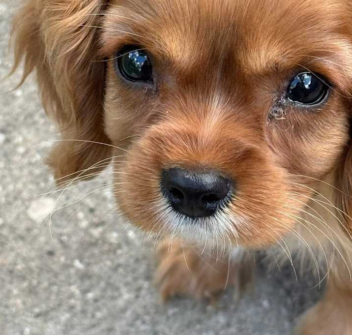 Photo of Billy