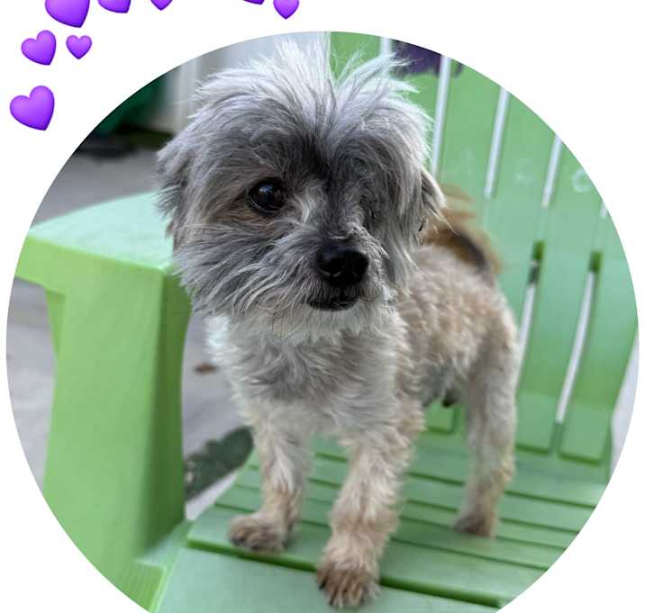 Photo of Chuly