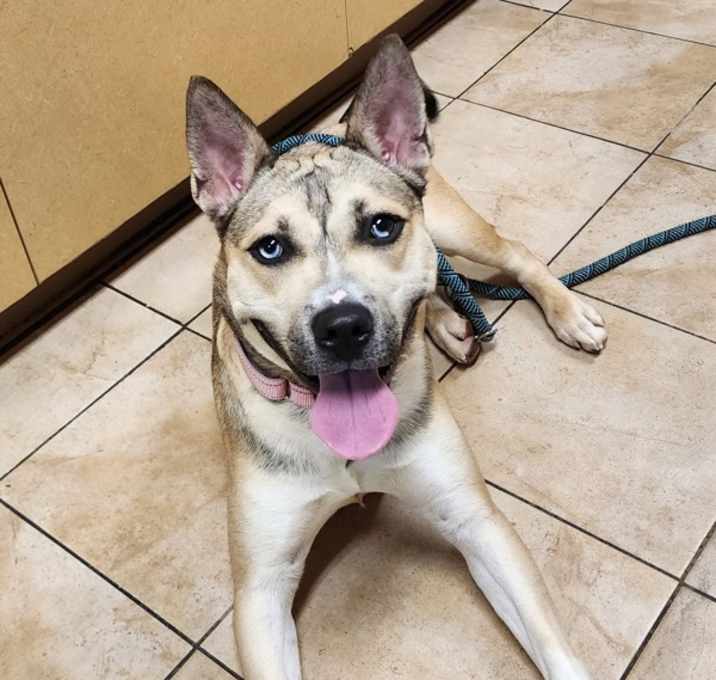 Photo of Kaia (mcas)