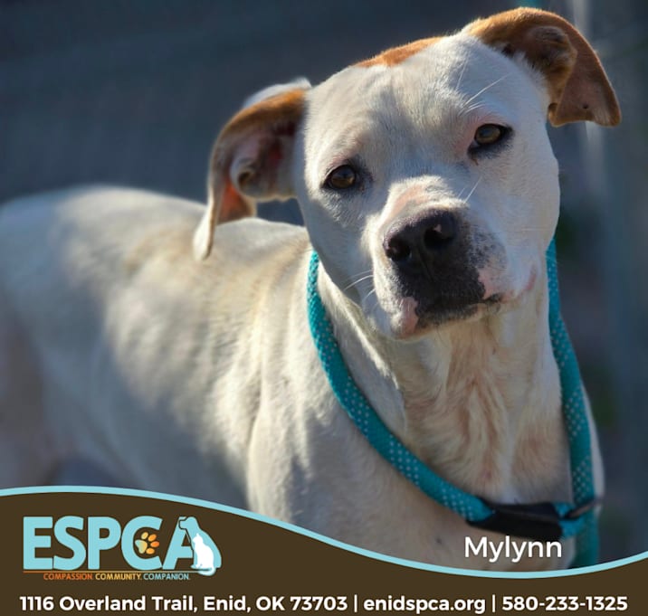 Photo of Mylynn