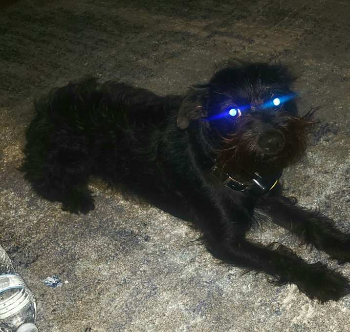Photo of Balboa