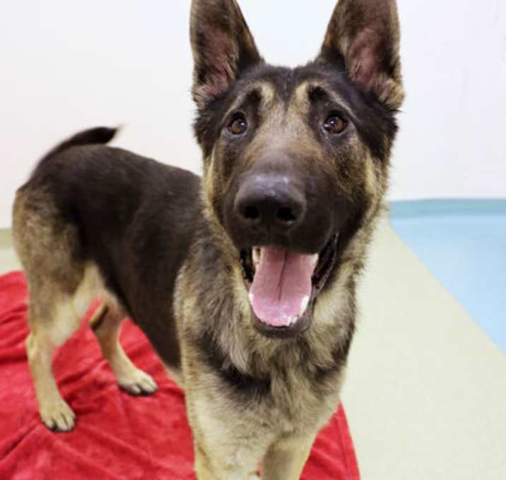 Photo of Duke