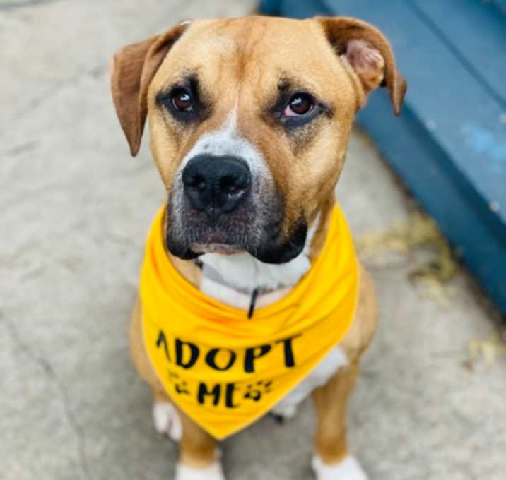 Photo of Ziggy
