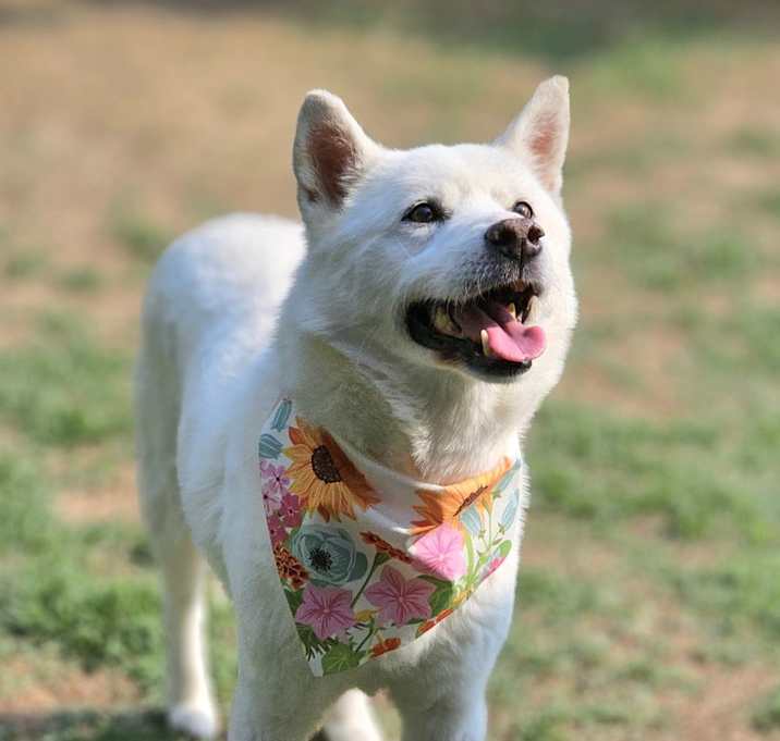 Photo of Suhong