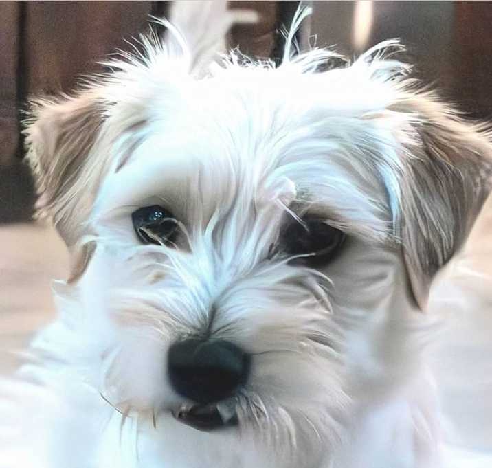 Photo of Truett