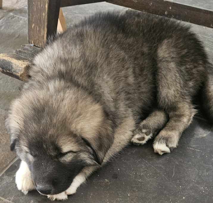 Photo of No name