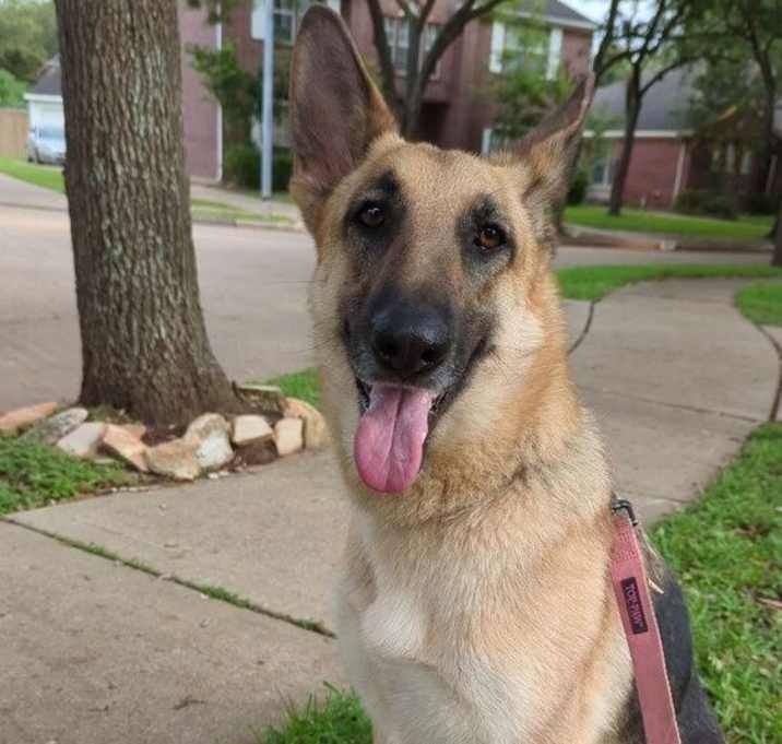 Photo of Sweetie