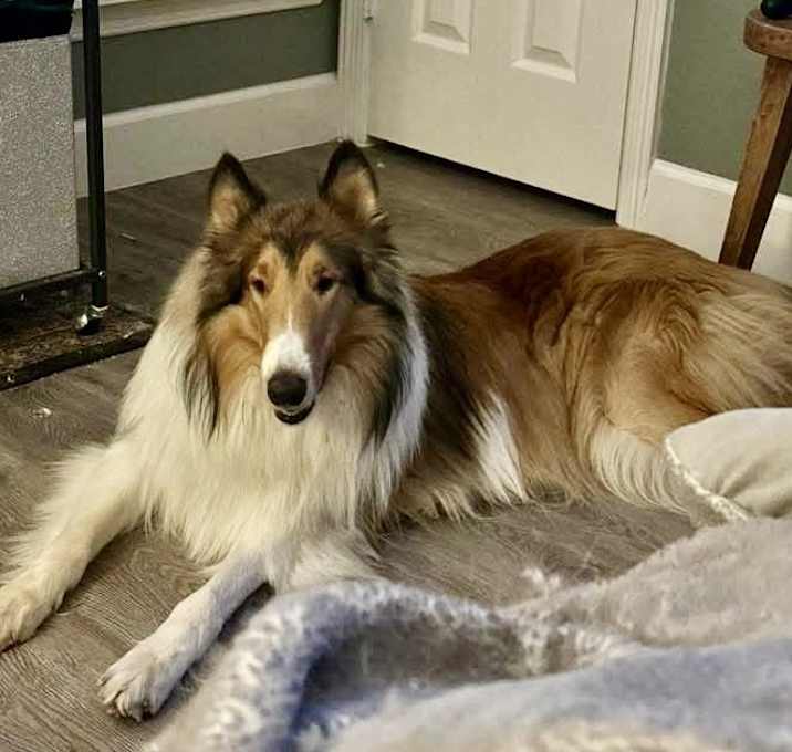 Photo of Blake
