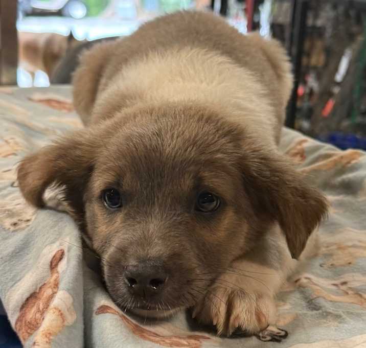 Photo of COSMO