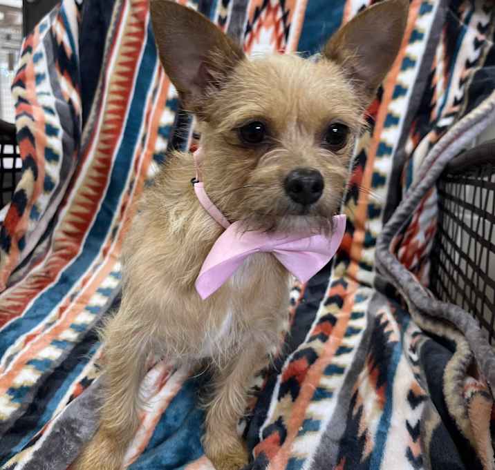 Photo of Mabel