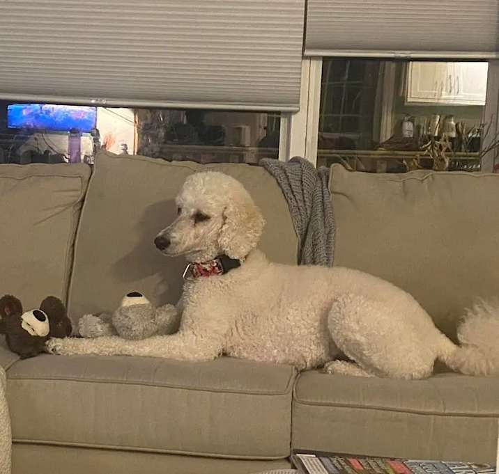 Photo of Winnie