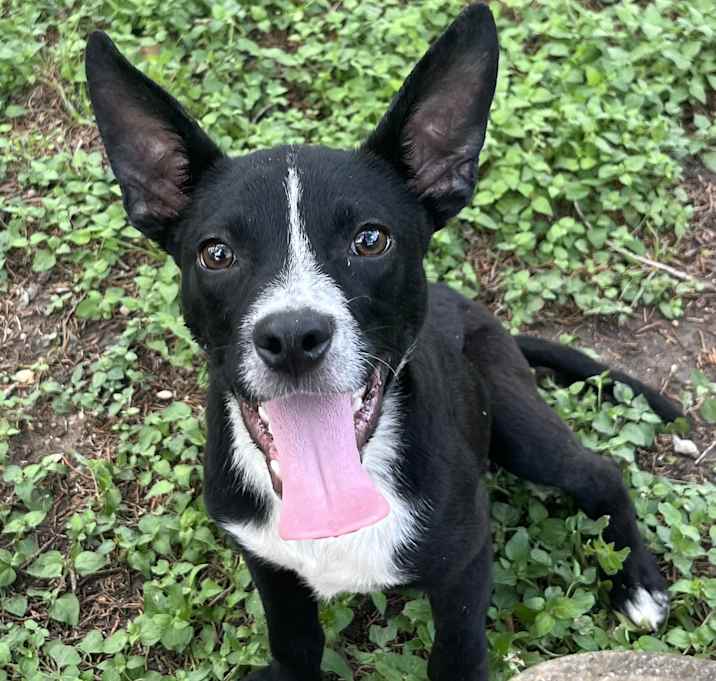 Photo of Titus