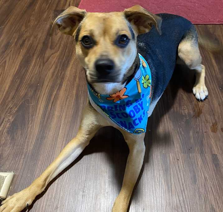 Photo of Duncan