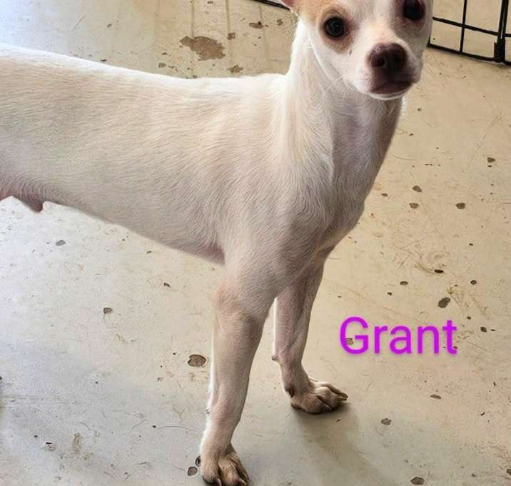 Photo of Grant