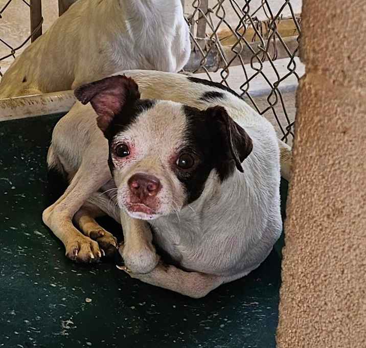 Photo of Waylon