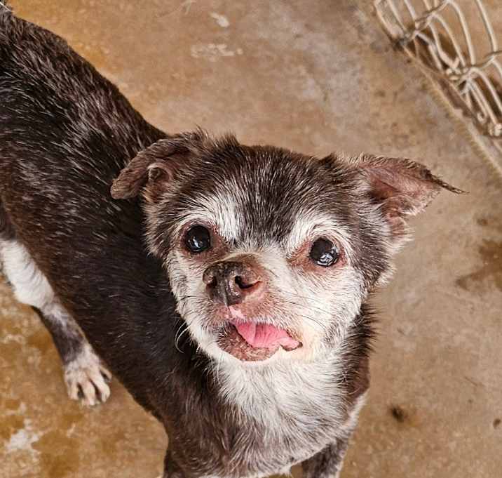 Photo of Cassidy