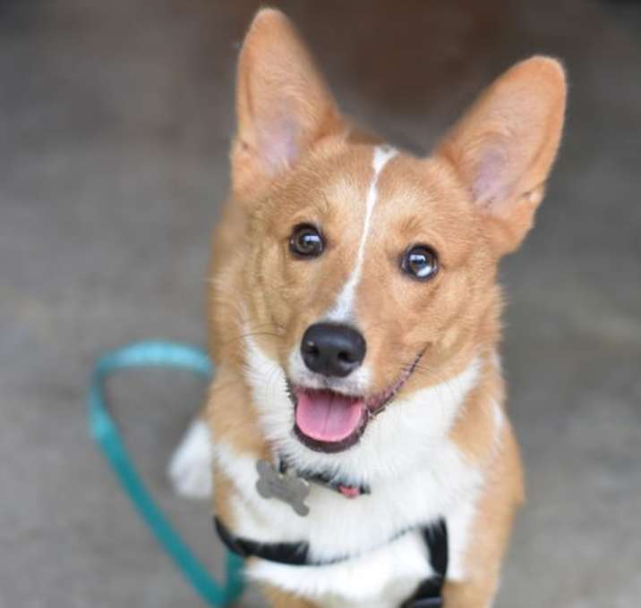 Photo of Tater