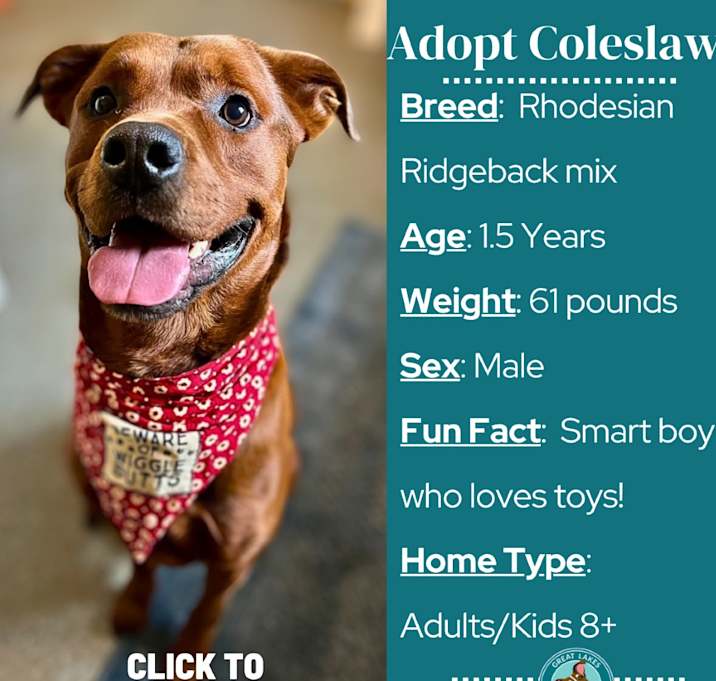 Photo of Coleslaw