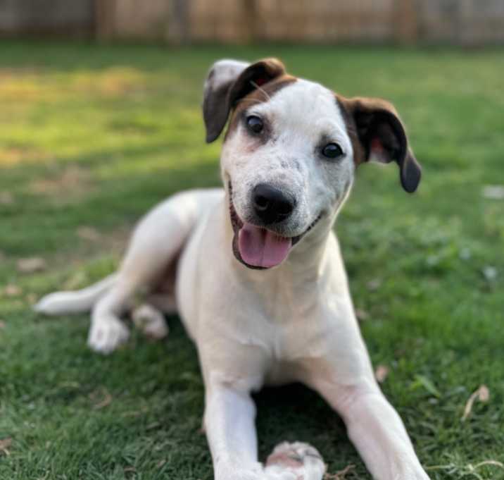Photo of Angel