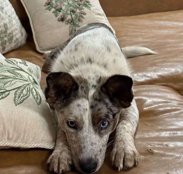 Photo of Clara