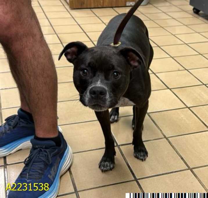 Photo of PEPPER