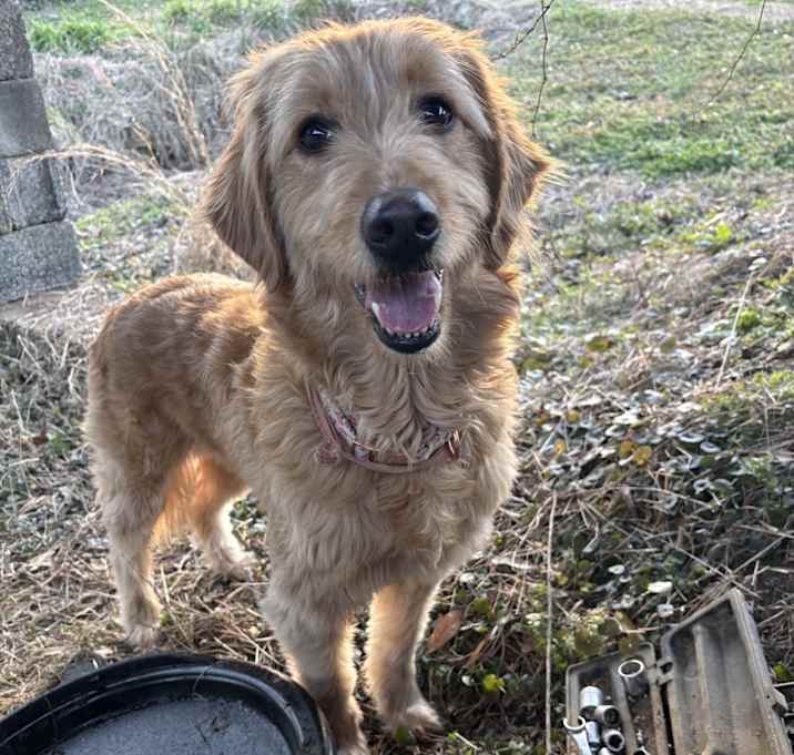 Photo of Molly