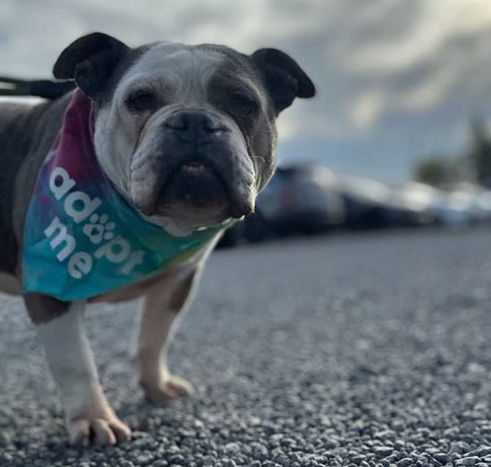 Photo of Maya