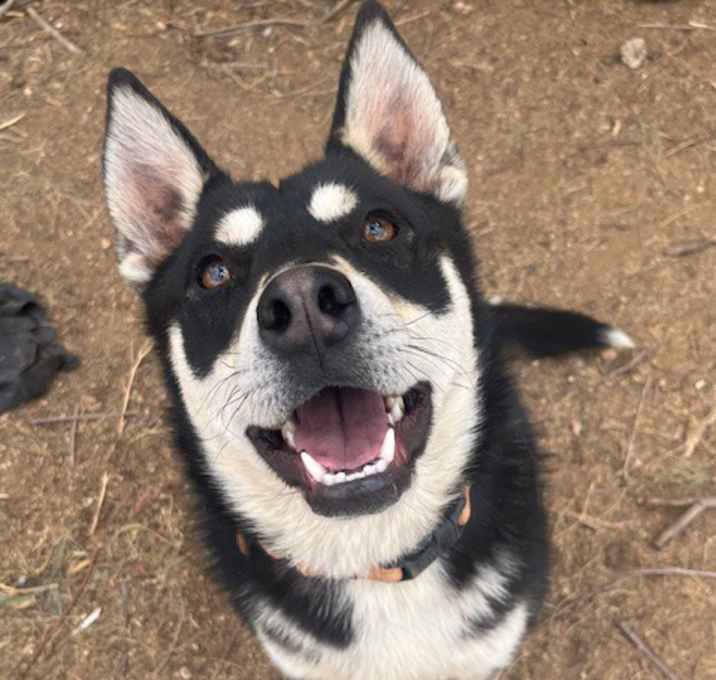 Photo of Cora