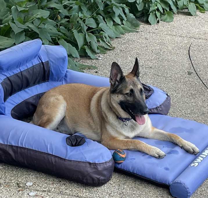 Photo of Kita